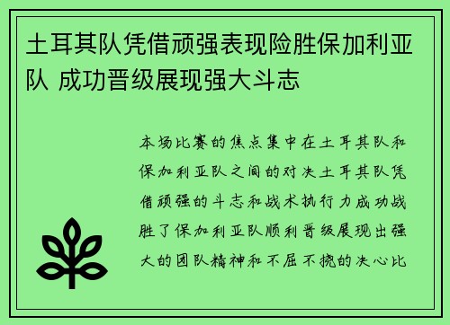 土耳其队凭借顽强表现险胜保加利亚队 成功晋级展现强大斗志