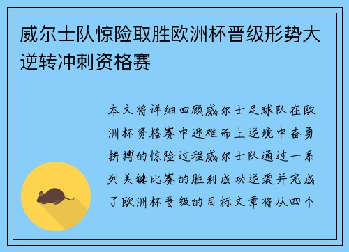 威尔士队惊险取胜欧洲杯晋级形势大逆转冲刺资格赛