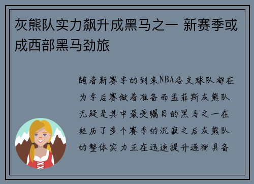 灰熊队实力飙升成黑马之一 新赛季或成西部黑马劲旅